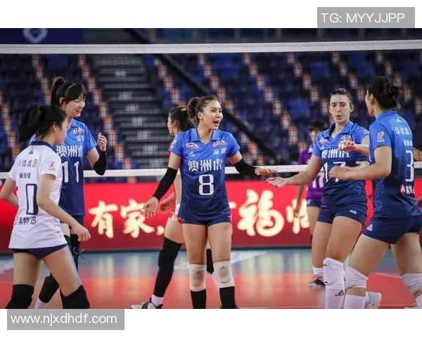 热议排球：深圳排球队的耐力变革