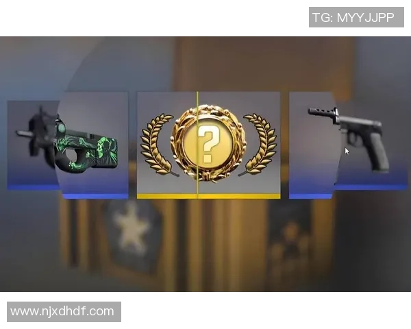 CS_GO巨献:探秘JDG的节奏